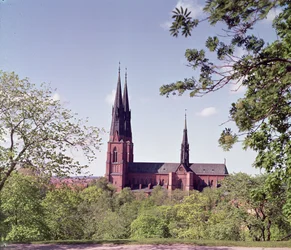 Udsigt over Uppsala Domkirke fra slottet foto